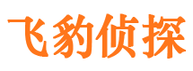 湛河市婚姻出轨调查